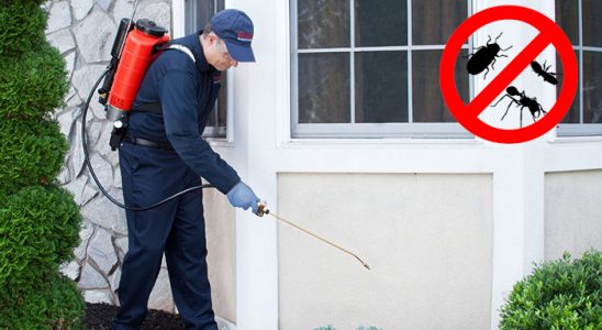 Söke Gümüşkurt İlaçlama böcek ilaçlama ve haşere kontrolü — ilaclama-tr.com